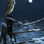 1074 Silent Night Barn Owl Poster