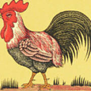 Rooster #12 Poster