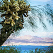 Scenes At Lake Mead Nevada Arizona Stateline #14 Poster