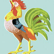 Rooster #16 Poster