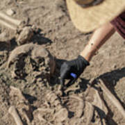 Archaeologist Excavating Skeleton #18 Poster