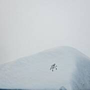 18 Penguins Sitting On Iceberg Poster