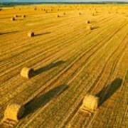 Aerial View Of Summer Hay Rolls Straw #2 Poster