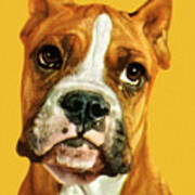 Head Of A Dog #2 Poster