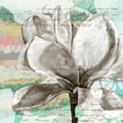 Pastel Magnolias I #2 Poster