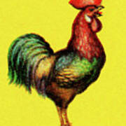 Rooster #21 Poster