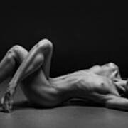 Bodyscape #289 Poster