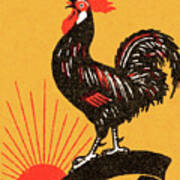 Rooster #29 Poster