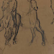 Study Of Horses Poster