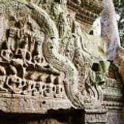 Ta Prohm Temple, Angkor, Cambodia, Asia #3 Poster