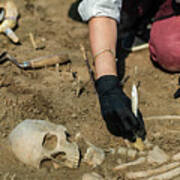 Archaeologist Excavating Skeleton #30 Poster