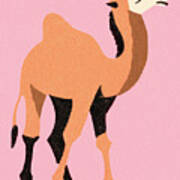 Camel #4 Poster