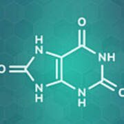 Uric Acid Molecule #4 Poster