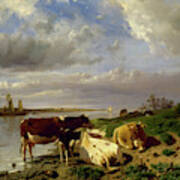 Landscape With Cattle Poster