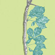 Branch With Leaves #8 Poster