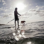 A Man And His Dog On A Stand Up Paddle Poster
