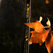 A Park Bench In Autumn Poster