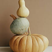 A Pumpkin And Two Gourds Poster