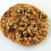 A Single Oatmeal Raisin Cookie On White Poster