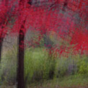 Abstract Red Maple Splendor Poster