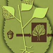 Acorn Leaf And Tree Poster