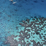 Aerial View Of Seaplanes Landed Near Poster
