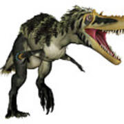 Alioramus Dinosaur Roaring, Isolated Poster