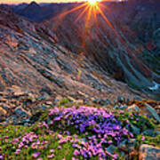 Alpine Sunrise With Flowers In The Poster