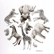 Animals Wild Or Free Poster