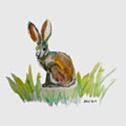 Arogs Rabbit Poster