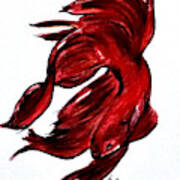 Art Doodle No.36 Betta Fish Poster