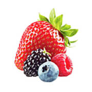 Assorted Berries On White Background Poster
