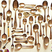 Assorted Vintage Spoons Poster