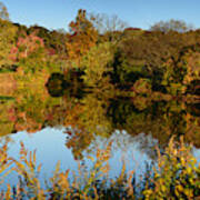 Autumn Along The Pond - Holmdel Park Poster