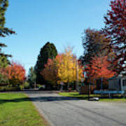 Autumn Color On Alder Street Poster