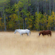 Autumn Horse Meadow Poster