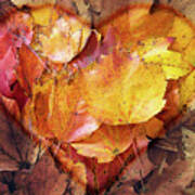 Autumn Love Poster