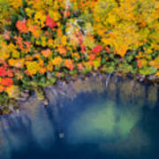 Autumn Pond Poster