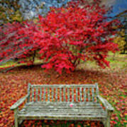 Autumn Splendour Poster