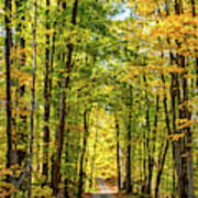Autumn Wandering - Ontario Backroads 9 Poster