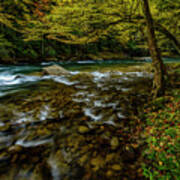 Back Fork Of Elk River Fall Poster