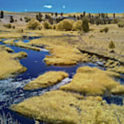 Back River In The Palouse Poster