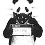 Bad Panda Poster