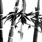 Bamboo 02 Poster