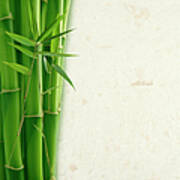 Bamboo And Rice Paper Poster