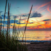 Beach Grass Sunset Poster