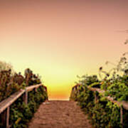 Path Over The Dunes At Sunrise. Poster