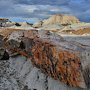 Beautiful Blue Mesa Petrified Wood Poster