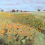 Bedford County Sunflower Field Poster