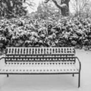Bench In Winter Poster